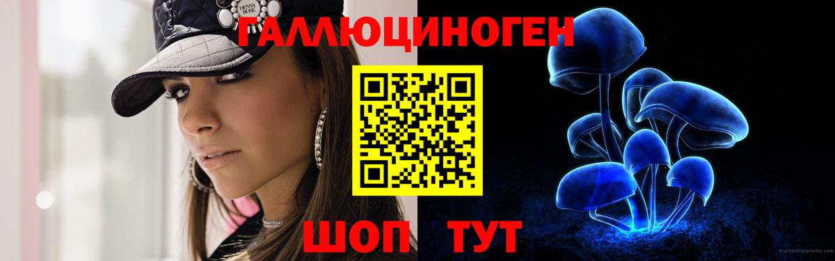 Саяногорск  Галлюциногенные грибы мухоморы  Вход с VPN  Псилоцибиновые грибы Psilocybine cubensis 